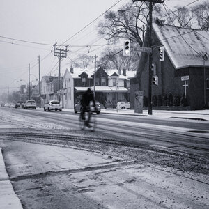 Bold Cyclist